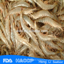 HL002 sea catch shrimp small shrimp